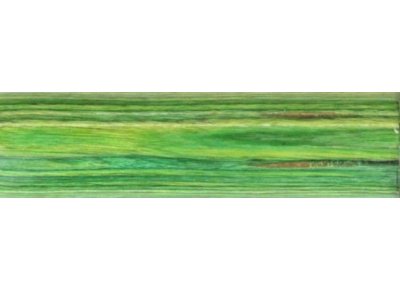(image for) Coloured Pen Blank - Emerald