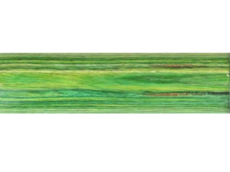 (image for) Coloured Pen Blank - Emerald