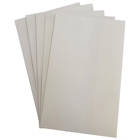 (image for) Outer Filter For DC50 Vacuum Extractor, Pack of 5