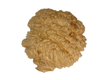 (image for) Burrs