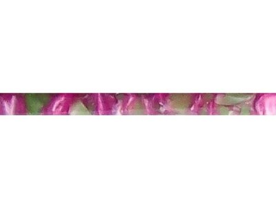(image for) Chestnut Acrylic Pen Blank - Murmansk Run