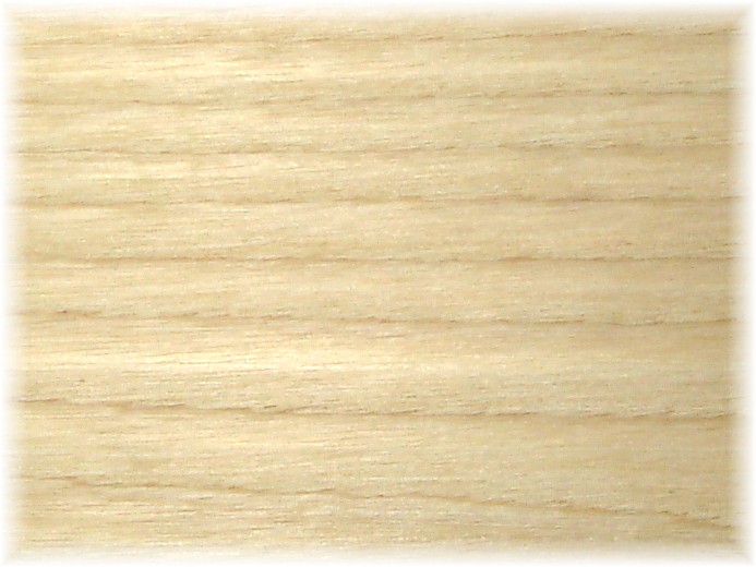 (image for) Ash (American) Bowl Blank 127mm x 51mm