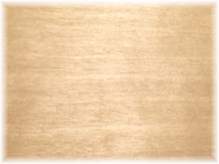 (image for) Birch Bowl Blank 102mm x 25mm (2nd grade)