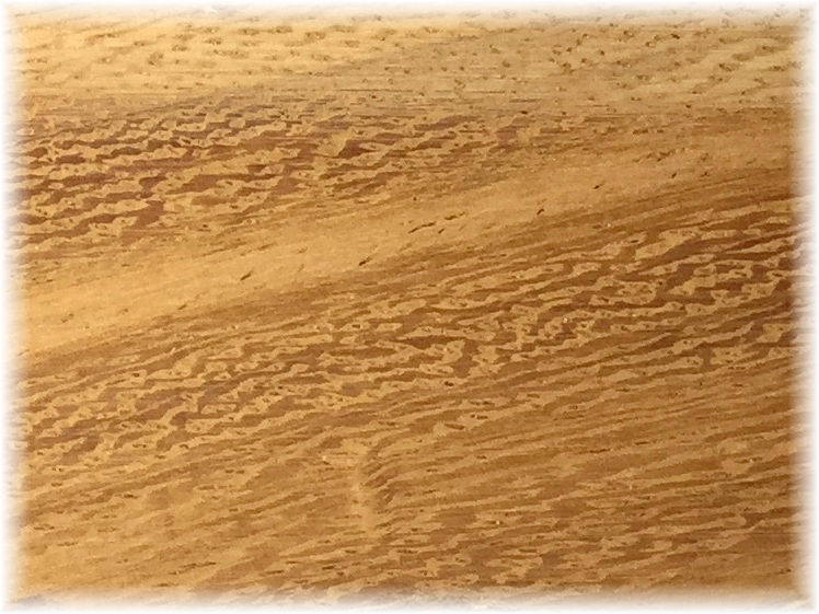 (image for) Wild Mango Pen Blank 19mm x 19mm x 152mm (pack of 5)