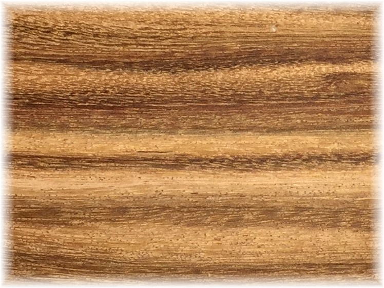 (image for) Xylia Pen Blank 19mm x 19mm x 152mm (pack of 5)